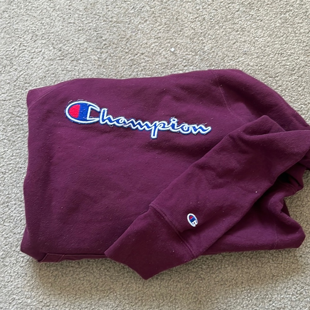 champion hoodie size M